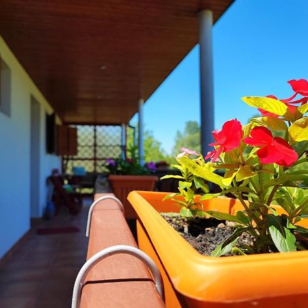 Apartman Dunav Aljmas ภายนอก รูปภาพ