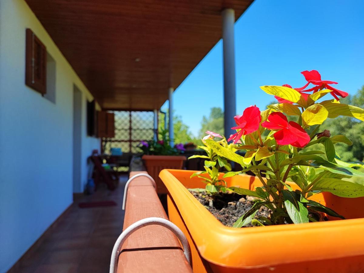 Apartman Dunav Aljmas ภายนอก รูปภาพ